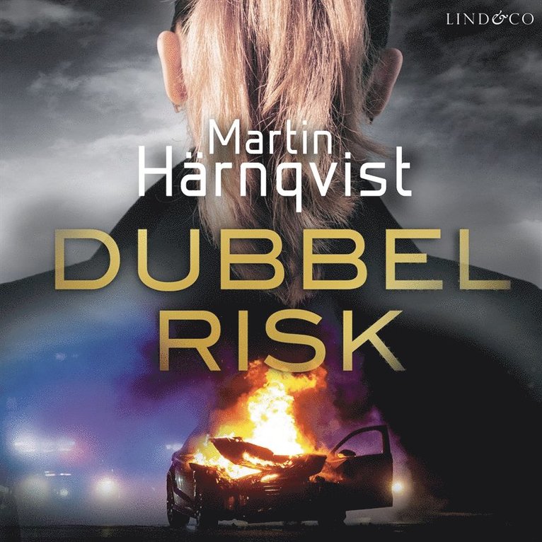 Martin Härnqvist - Dubbel risk, Ljudbok