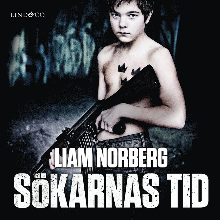 Liam Norberg - Sökarnas tid: Örnligan, nollpunkten, vägen ut, Ljudbok