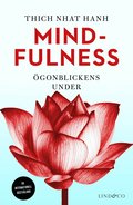 Mindfulness : gonblickens under