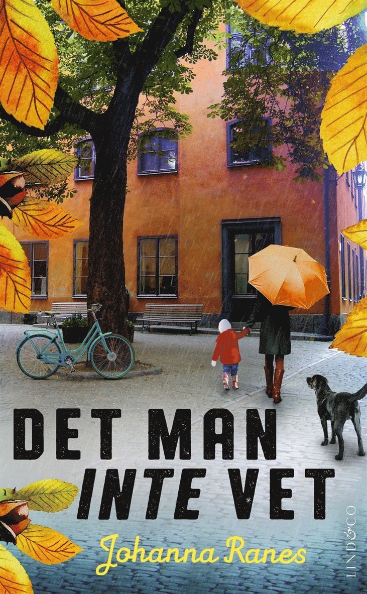 Johanna Ranes - Det man inte vet, E-bok