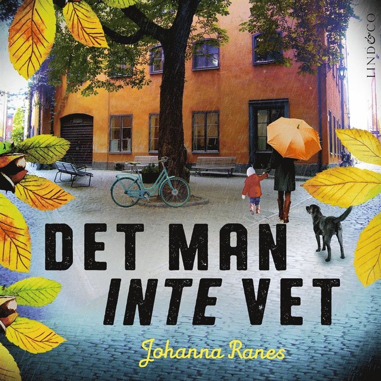 Johanna Ranes - Det man inte vet, Ljudbok