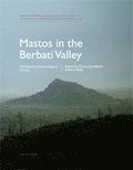 Mastos in the Berbati Valley : an intensive archaeological survey