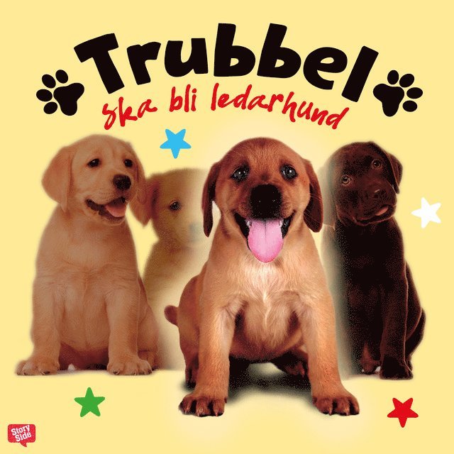 Anna Bergholtz - Trubbel ska bli ledarhund, Ljudbok
