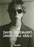 David Liljemarks underbara vrld : verk i urval 1978-2020