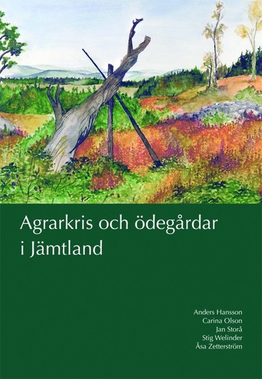Anders Hansson, Carina Olson, Jan Storå, Stig Welinder, Åsa Zetterström - Agrarkris och ödegårdar i Jämtland, Kartonnage