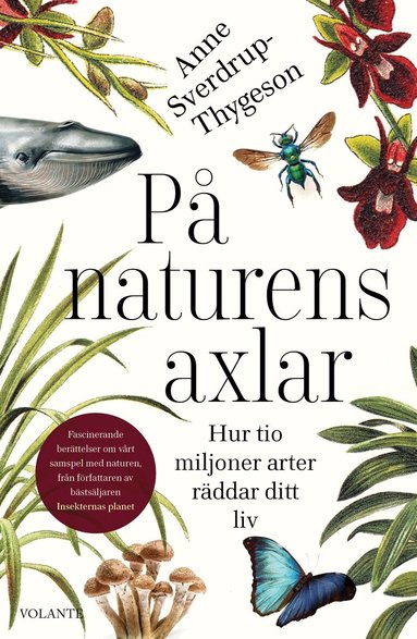 Anne Sverdrup-Thygeson - På naturens axlar : hur tio miljoner arter räddar ditt liv, Inbunden