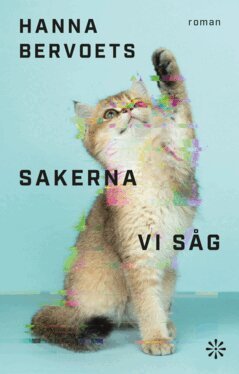 Hanna Bervoets - Sakerna vi såg, E-bok