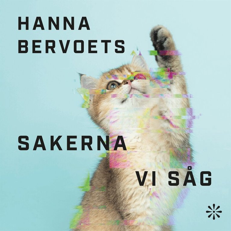Hanna Bervoets - Sakerna vi såg, Ljudbok