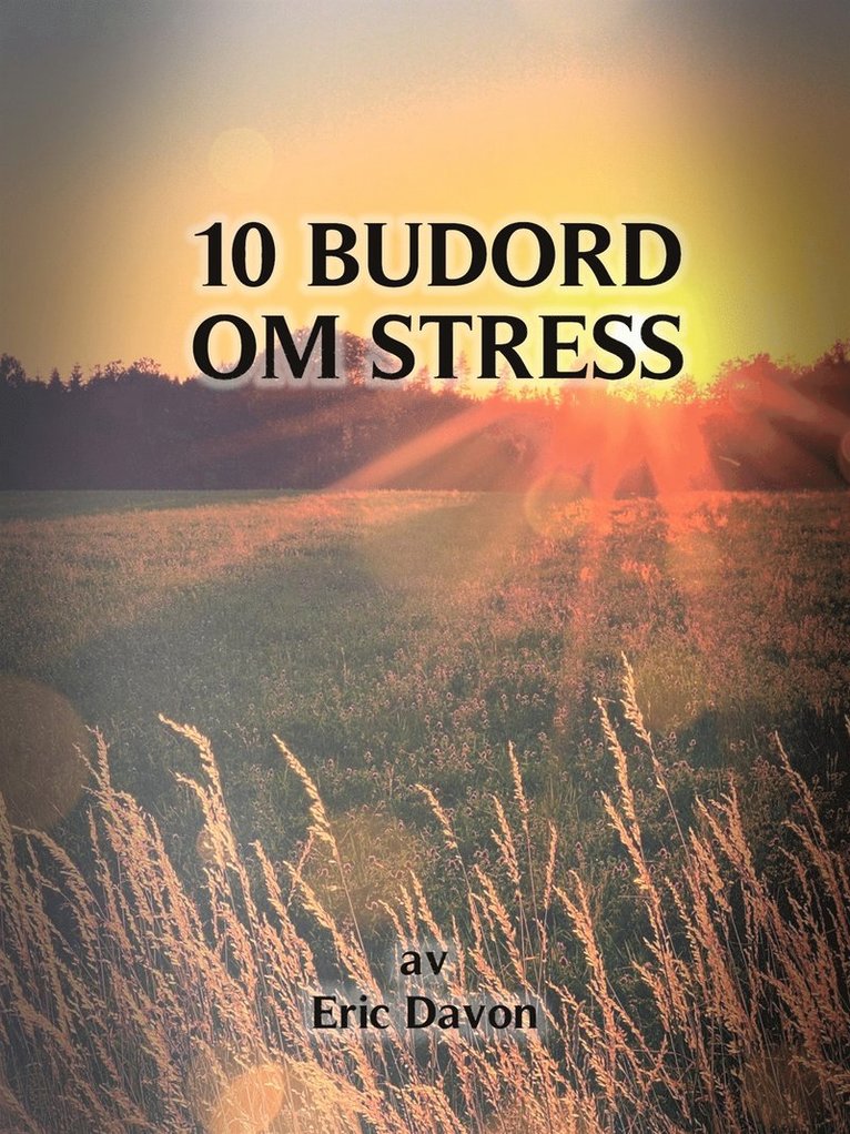 Eric Davon - 10 budord om stress, E-bok