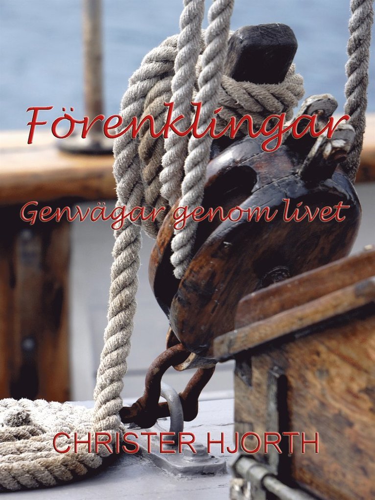 Christer Hjorth - Förenklingar: Genvägar genom livet, E-bok
