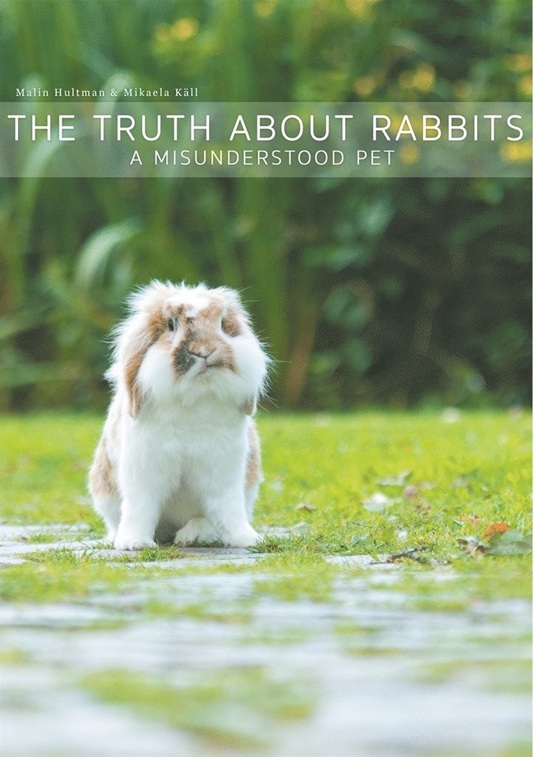 Mikaela Käll, Malin Hultman - The Truth About Rabbits: A Misunderstood Pet, E-bok
