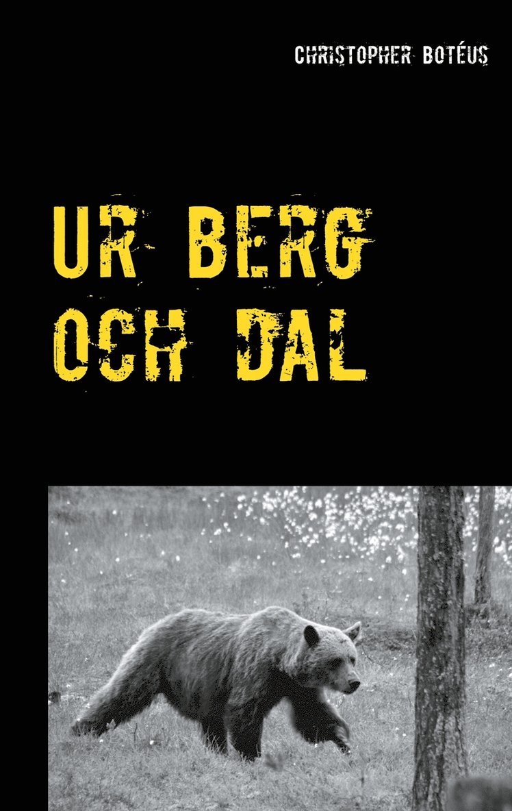 Christopher Botéus - Ur berg och dal: En aforismsamling i livets tjänst, E-bok