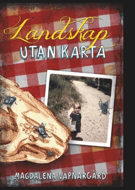Magdalena Väpnargård - Landskap utan karta, Inbunden