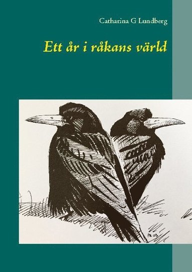 Catharina G Lundberg Ett år i råkans värld