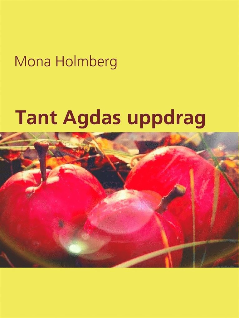 Mona Holmberg - Tant Agdas uppdrag, E-bok