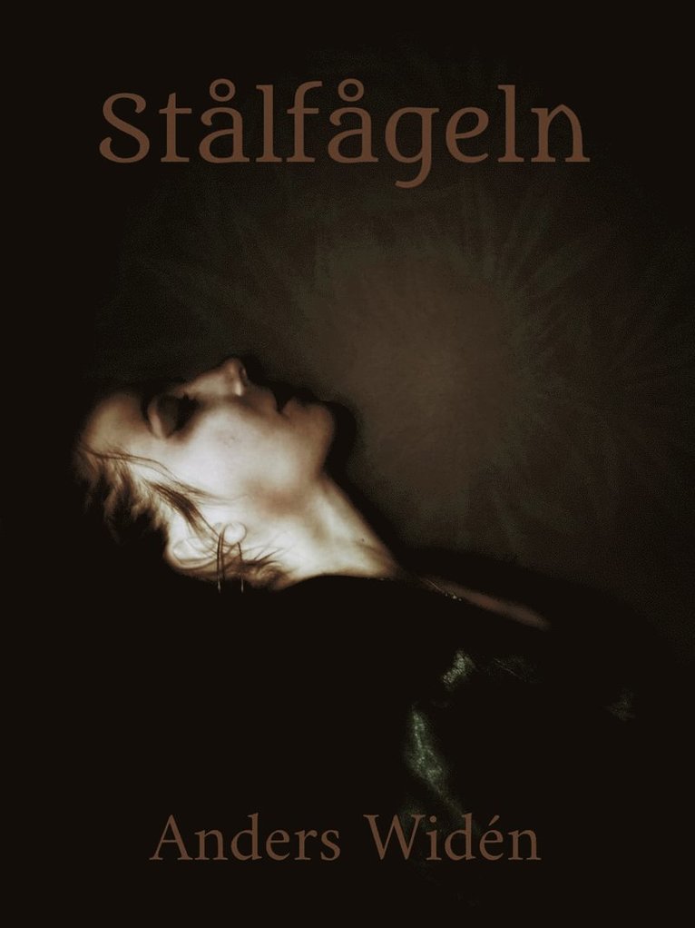 Anders Widén - Stålfågeln, E-bok
