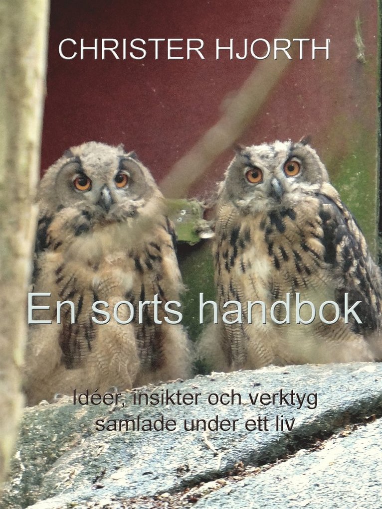 Christer Hjorth - En sorts handbok: Idéer, insikter och verktyg samlade under ett liv, E-bok