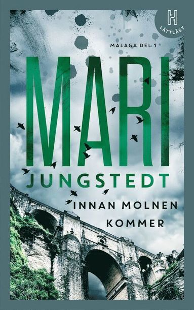 Mari Jungstedt Innan molnen kommer (lättläst)