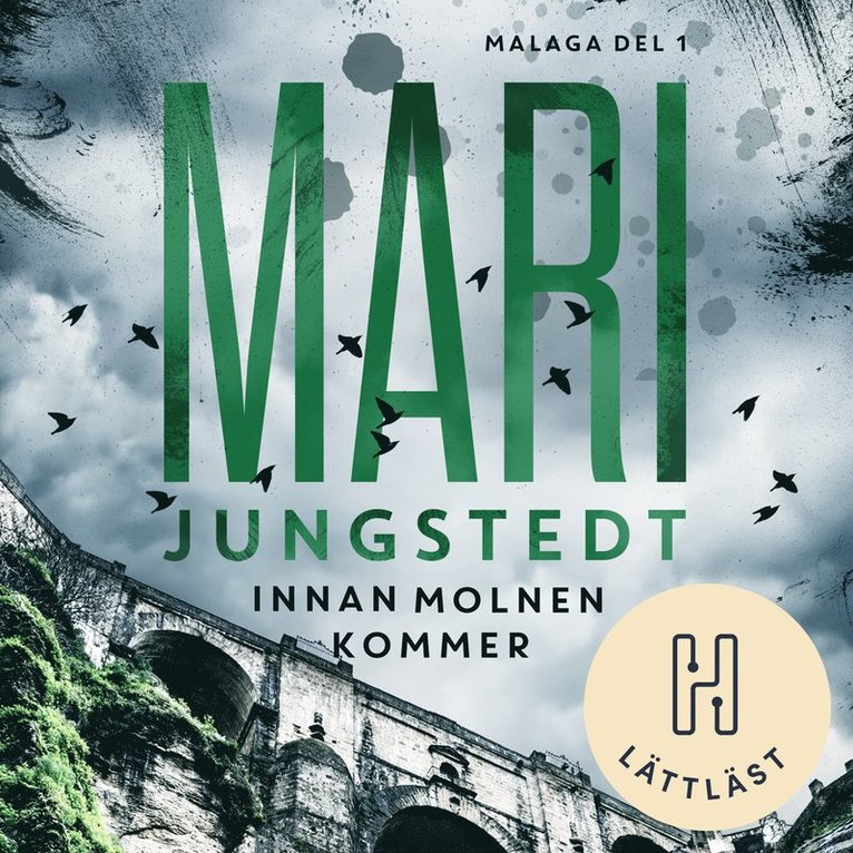 Mari Jungstedt - Innan molnen kommer (lättläst), Ljudbok