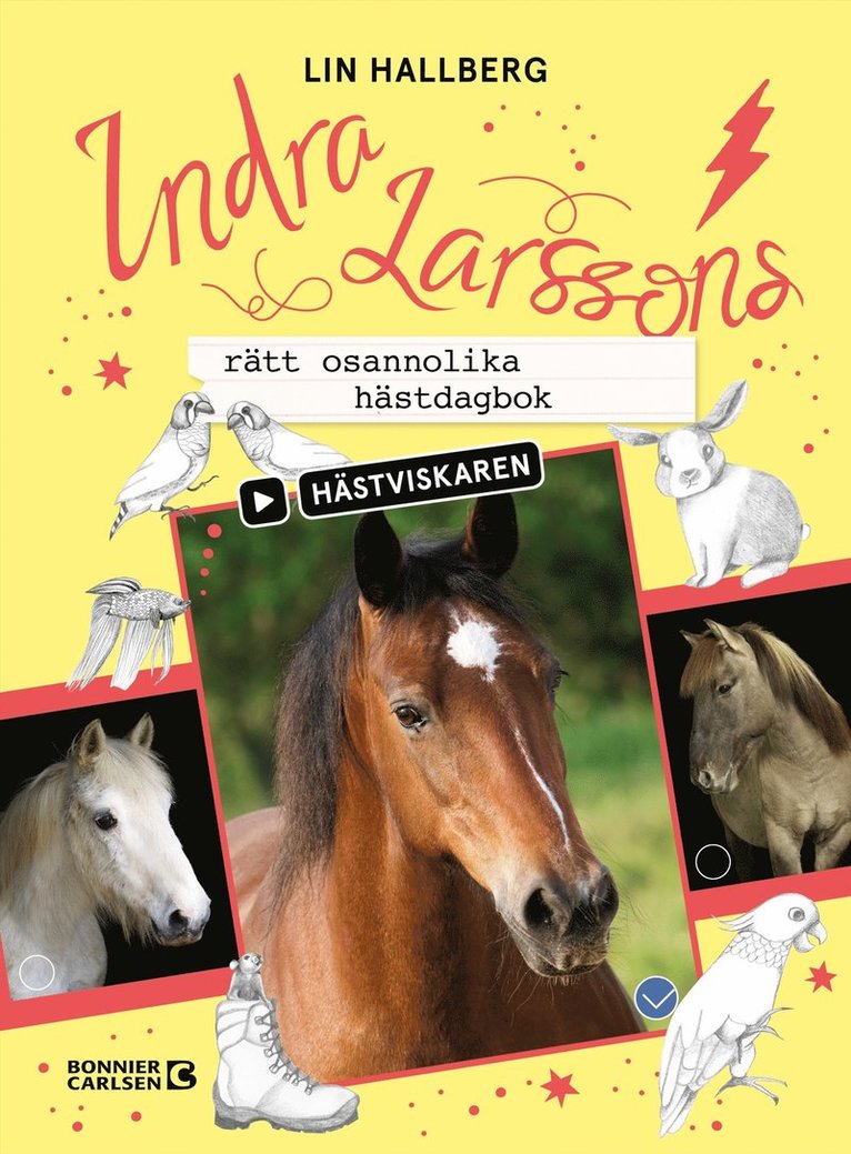 Lin Hallberg - Indra Larssons rätt osannolika hästdagbok, E-bok