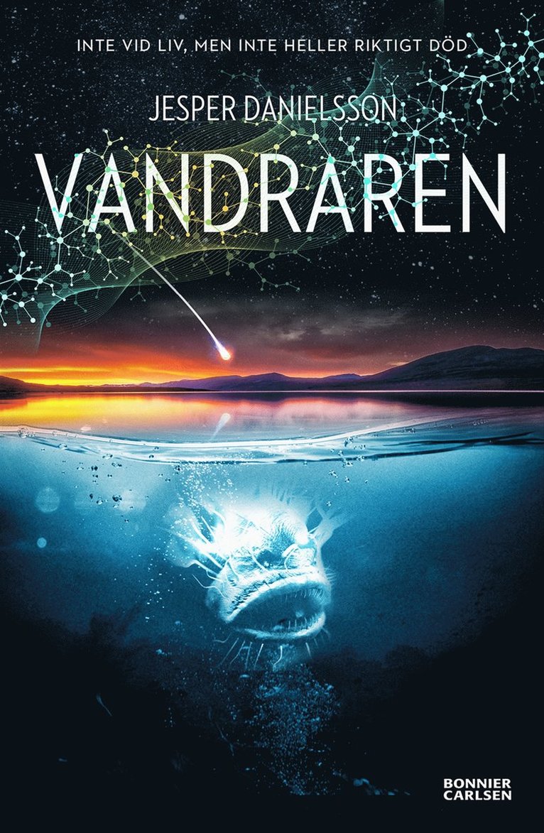 Jesper Danielsson - Vandraren, E-bok