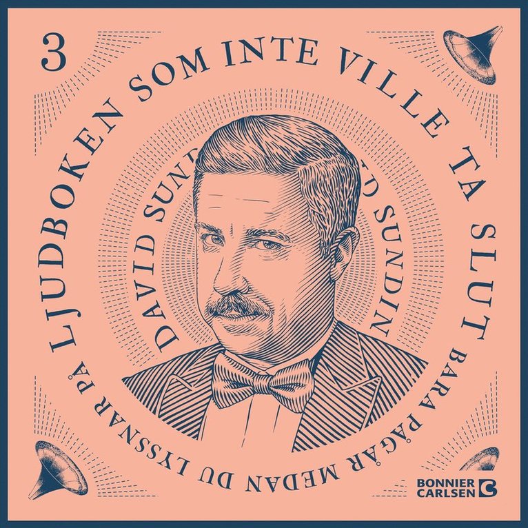 David Sundin - Ljudboken som inte ville ta slut - del 3, Ljudbok