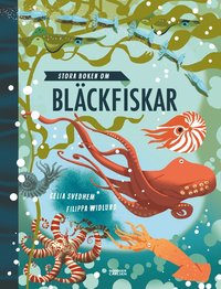 Stora boken om bläckfiskar
