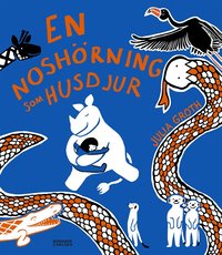 En nosh�rning som husdjur