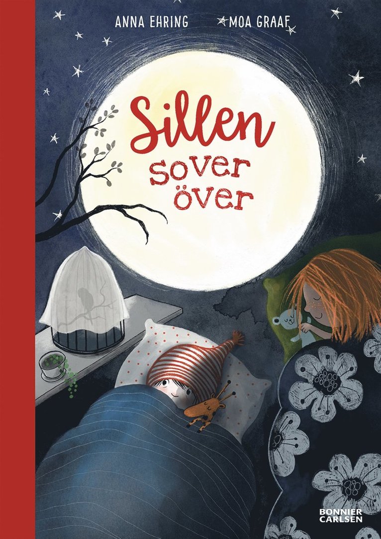 Anna Ehring - Sillen sover över, E-bok