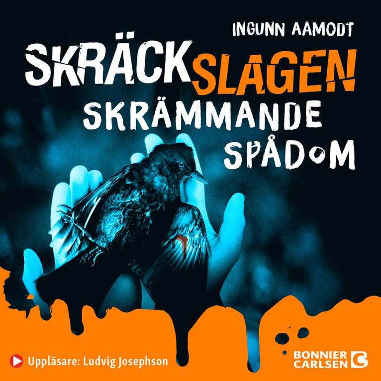 Ingunn Aamodt - Skrämmande spådom, Ljudbok