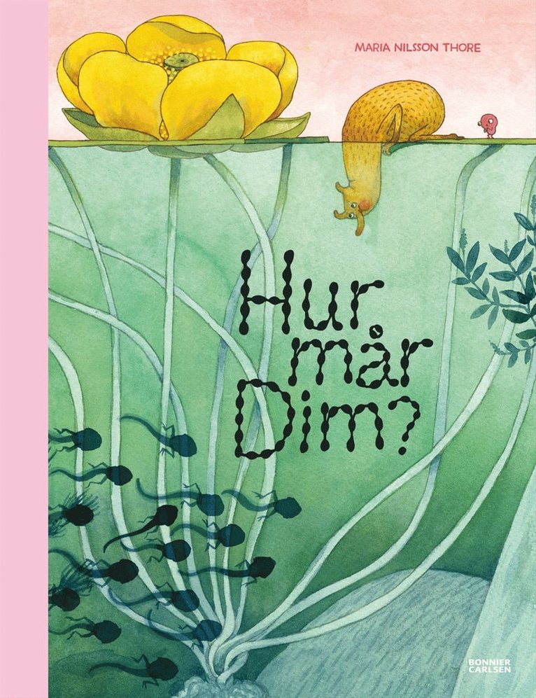 Maria Nilsson Thore - Hur mår Dim?, E-bok
