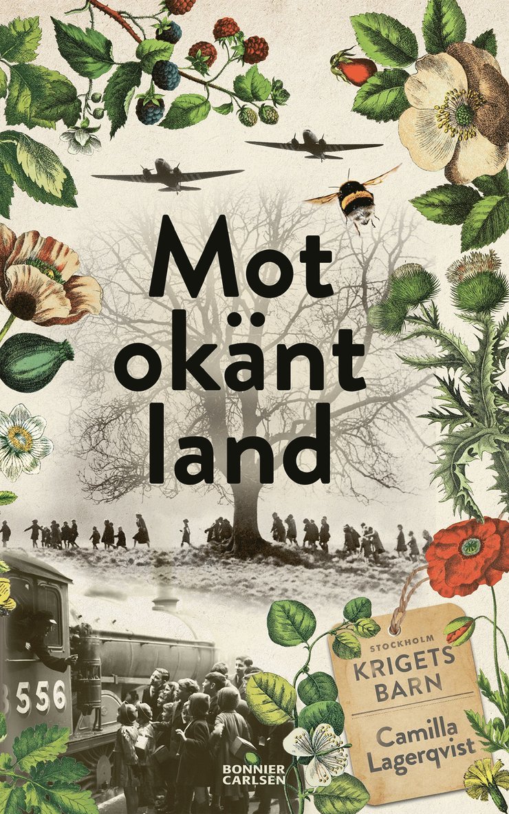 Camilla Lagerqvist - Mot okänt land, E-bok