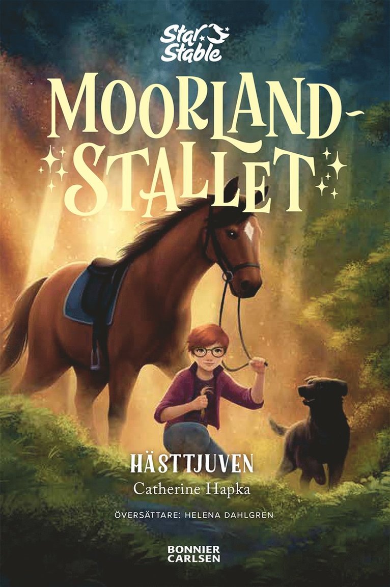 Catherine Hapka - Hästtjuven, E-bok