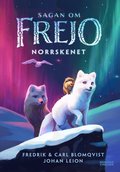Norrskenet
