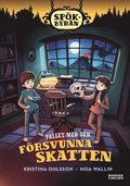 Fallet med den f�rsvunna skatten
