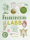 Frankensteins labb : tankenötter, gåtor & mysterier