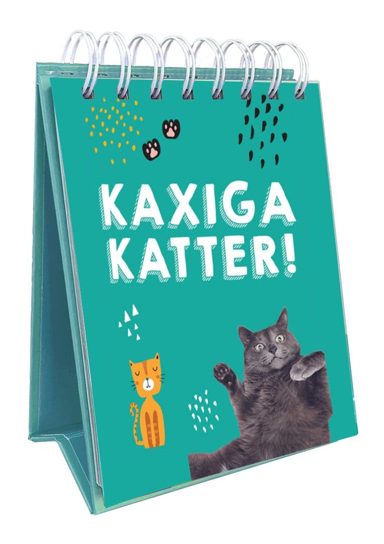Kaxiga katter, Häftad