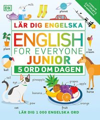 Lär dig engelska : 5 ord om dagen