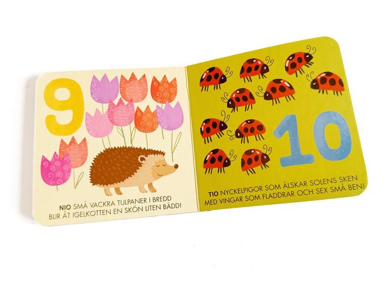 Stapelklossar & bok - Naturen, Övrigt