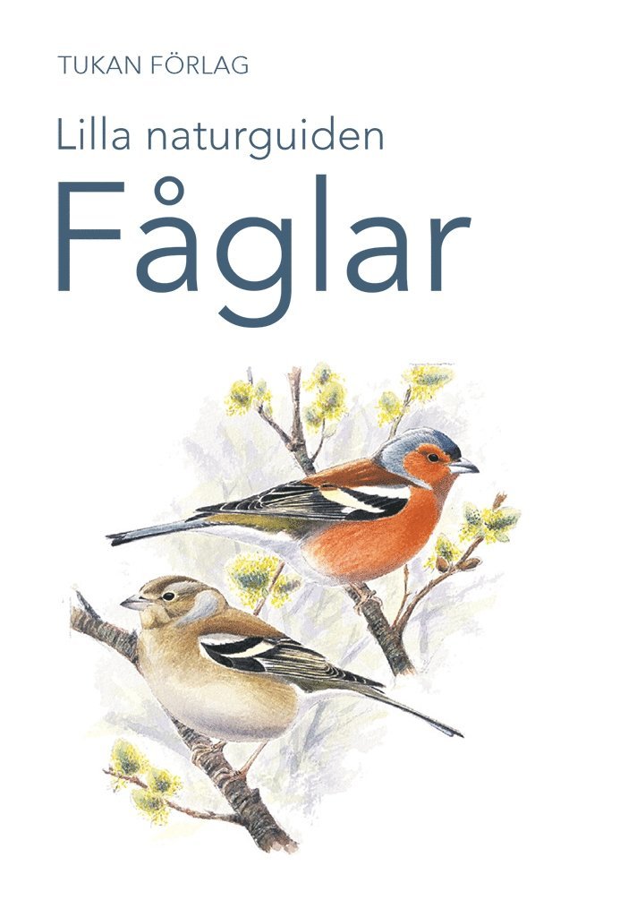 Lilla naturguiden: fåglar, E-bok