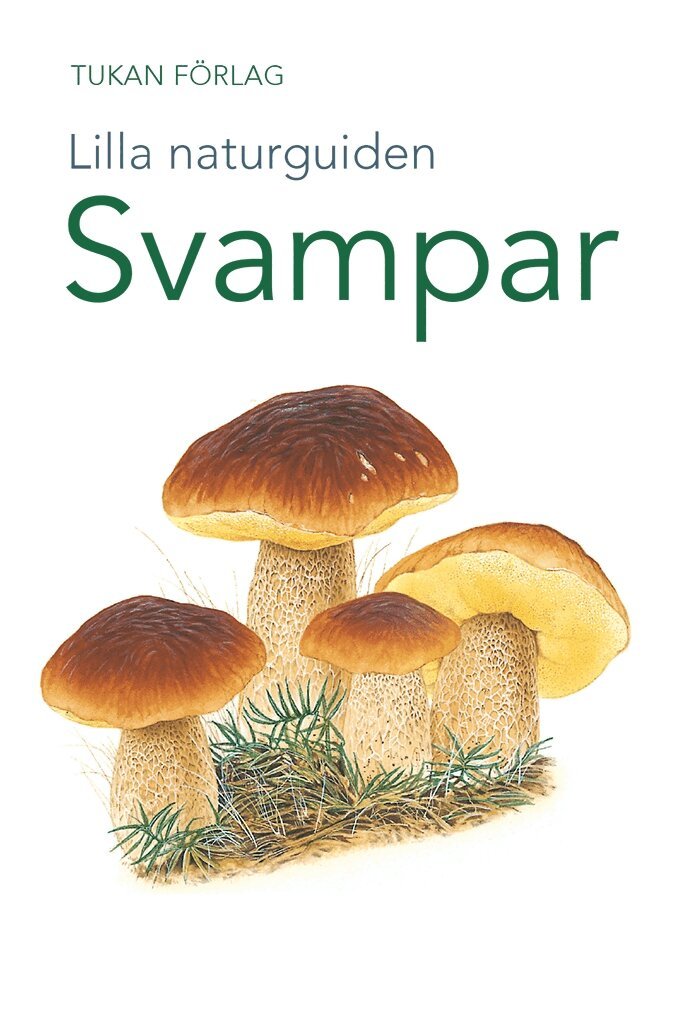 Lilla naturguiden: svampar, E-bok