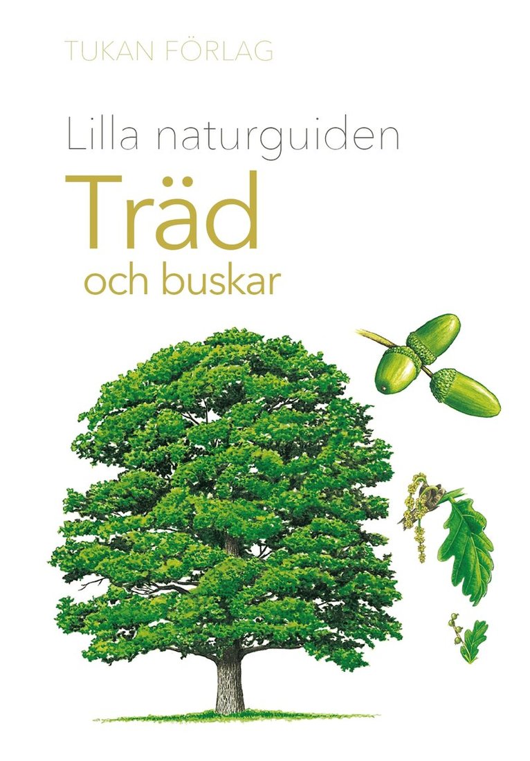 Lilla naturguiden: träd och buskar, E-bok