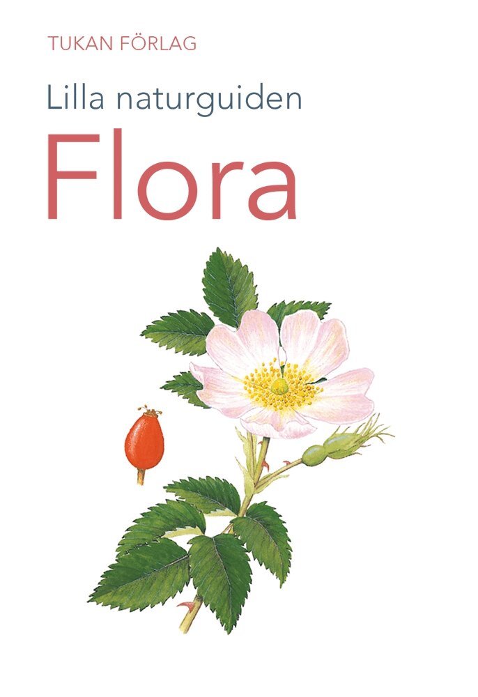 Lilla naturguiden: flora, E-bok