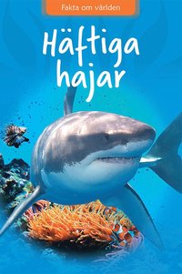Häftiga hajar