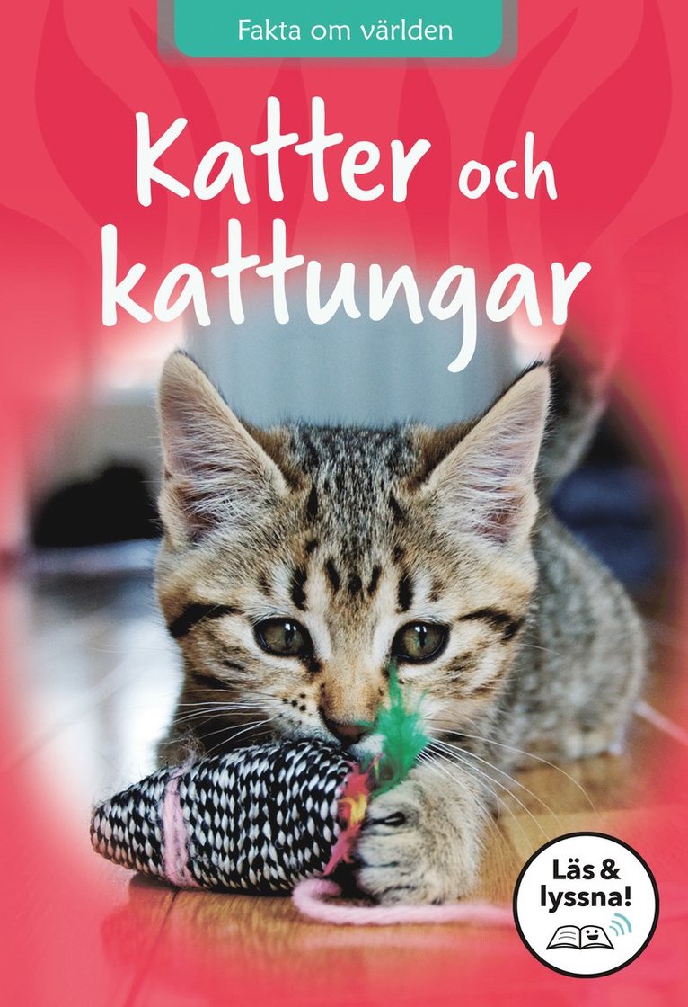 Sarah Snashall - Katter och kattungar, E-bok