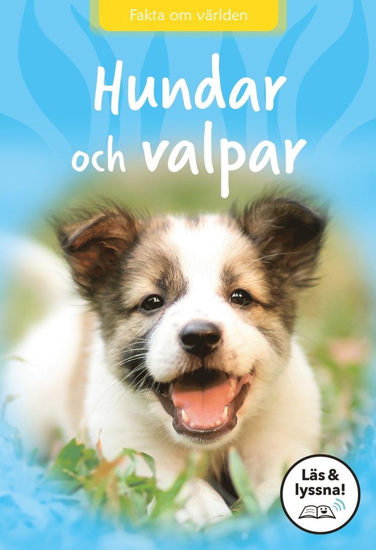 Sarah Snashall - Hundar och valpar, E-bok