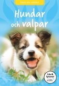 Hundar och valpar