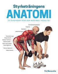 Cyklistens Anatomi