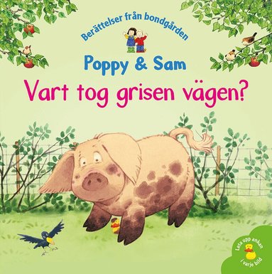 Heather Amery, Stephen Cartwright - Vart tog grisen vägen?, Inbunden