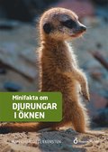 Minifakta om djurungar i knen